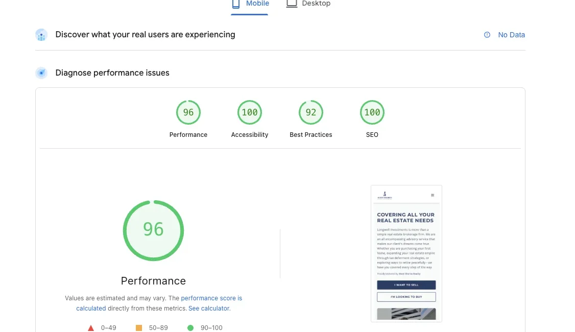 Google PageSpeed scores: 96 Performance, 100 Accessibility, 92 Best Practices, 100 SEO